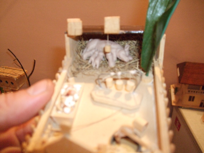 Crescatorie de porci