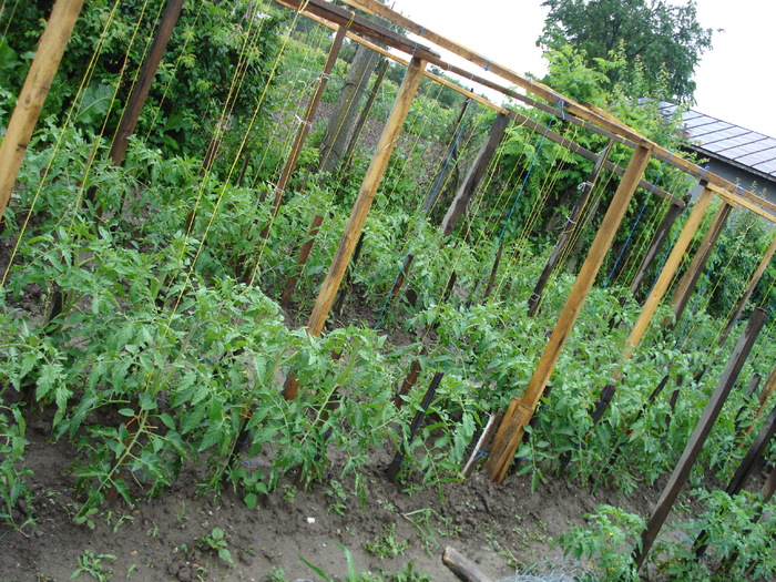 ROSII - LA MAMA- 2010