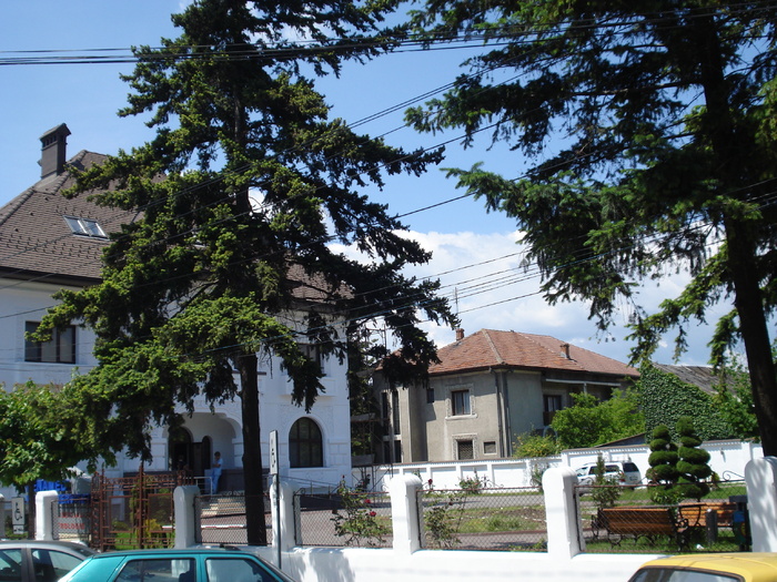 DSC08862