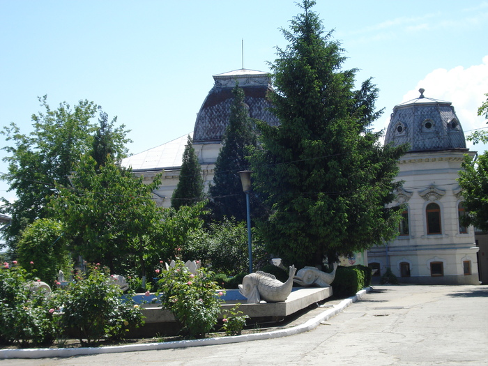 DSC08863