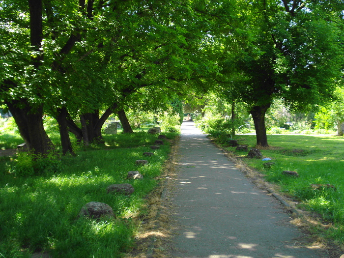 DSC08870