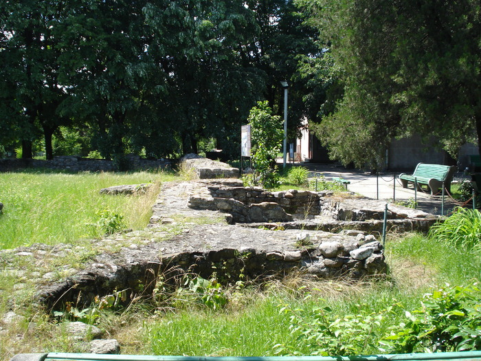 DSC08875