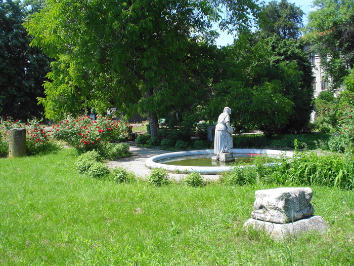 DSC08884