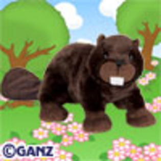 beaver[1] - animalute webkinz