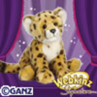 signature_cheetah[1] - animalute webkinz