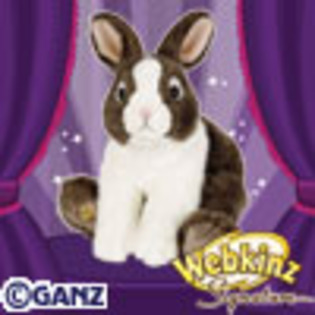 signature_dutch_bunny[1] - animalute webkinz