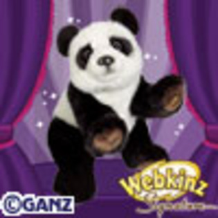 signature_panda[1] - animalute webkinz