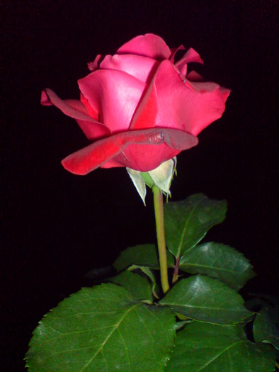 DSC06108