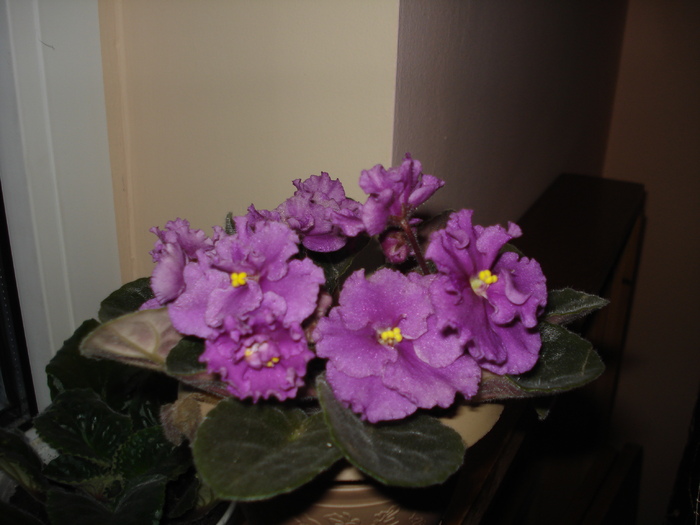 31.05.2010