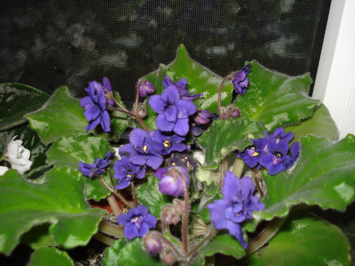 31.05.2010