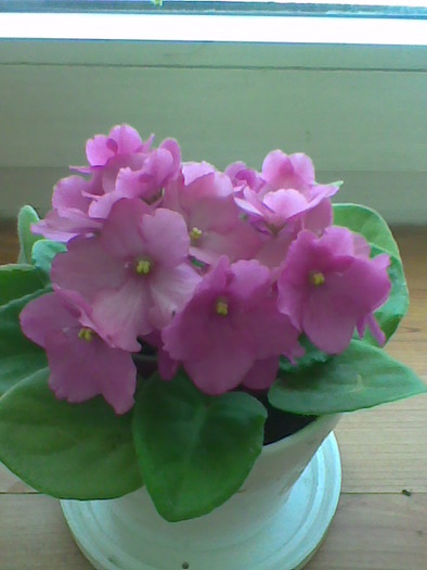 18.05.2010