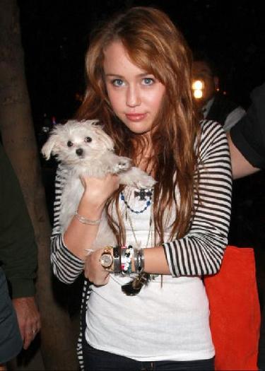 celebrities_and_their_cute_dogs - miley and sophie