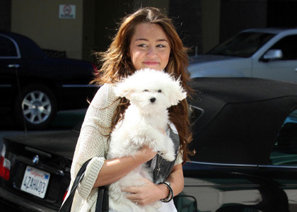 miley-cyrus-dog1 - miley and sophie