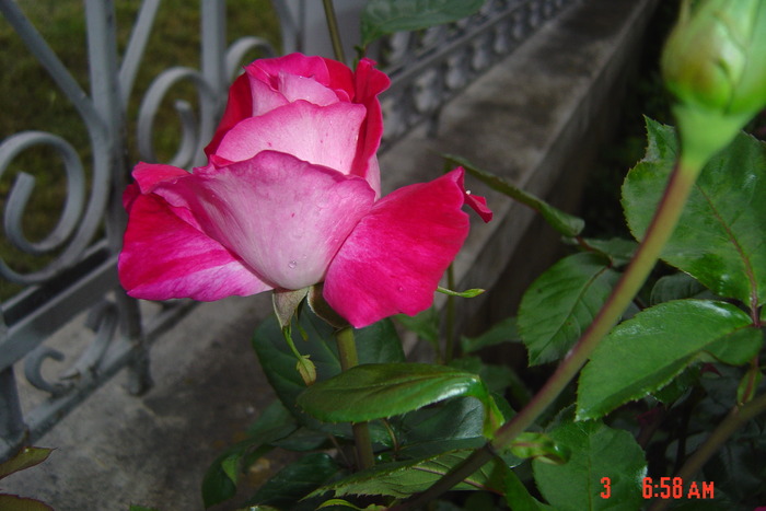 poze noi 221