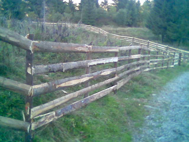 latura de nord-est - clubul bistritean si altele