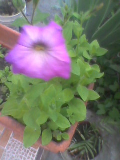 Imag0059