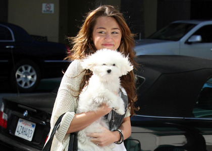 miley-cyrus-dog1 - miley cyrus and sophie