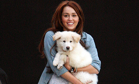 miley-cyrus-took-her-dog-sophie-pic-splashnews-com-781438445