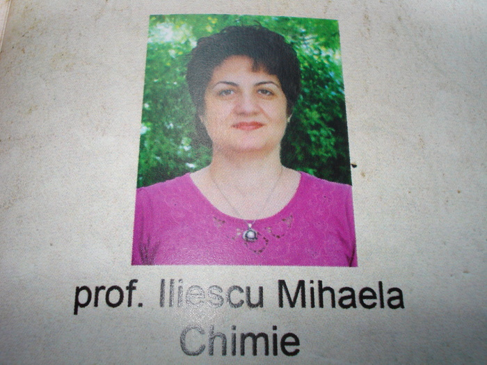 ILIESCU MIHAELA-PROF. DE CHIMIE - BANCHETUL CRISTINEI