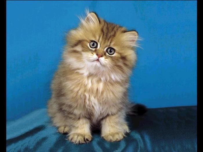 9712669QECMfuUGbQ_ph - xD PiSiCuTzE