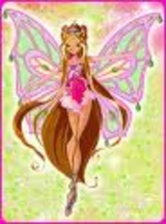 DSFASD - xD WiNx ClUb