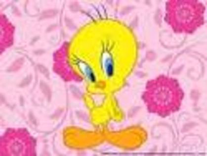 default - tweety