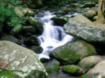 AVV4WFBPOIVZWOM9M3Z6GC1PU