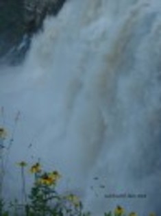 GF41OTWWLDMGG3KORYZWBTKDZ