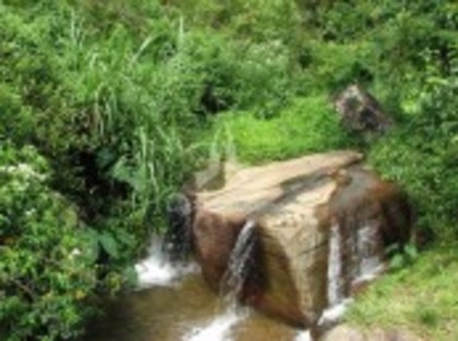 I9N59YNZFU5O8QLDOP2A5A59H