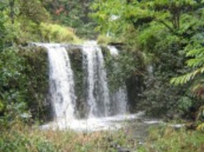 SSP1B6ARKXBNJZYMZ195EX2VQ - cascade