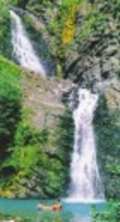 TMW1MEI2LSWV5TB4AUL9QYQWW