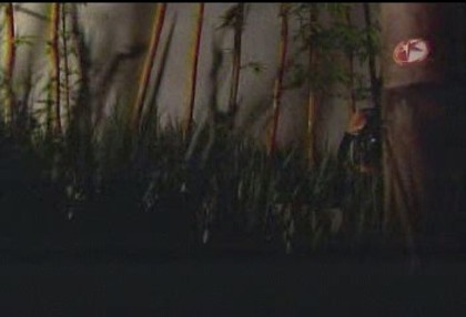 BelindaPhotosCom_Caps_Capitulo_5_(78) - Cameleonii