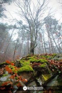 200x300-images-stories-toamna-la-slanic-moldova-muntele-nemira-in-ceata