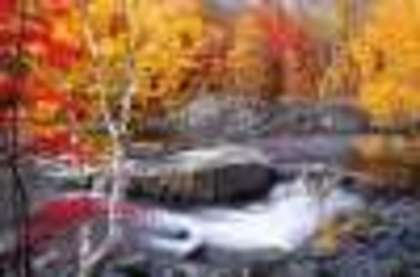 autumn_stream