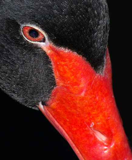 2365730-f3f213a5d0e55e50