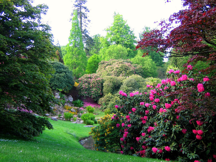 Sheffield Park, a National Trust Garden in East Sussex1 - GRADINI