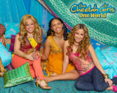 The cheetah girls