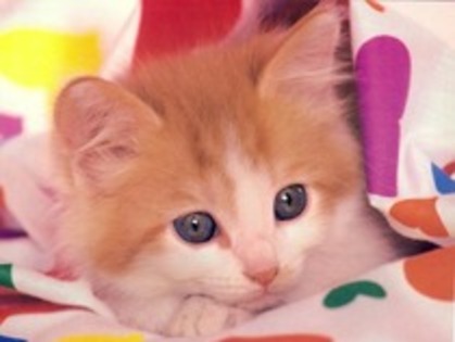 alexutZzZa,XxSelenaKissXx(ocupat)