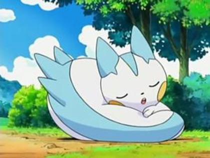 202828-pachirisu_nap_time_large - Pokemon