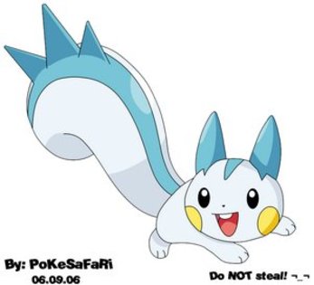 Pachirisu_Anime_Style_by_pokesafari - Pokemon