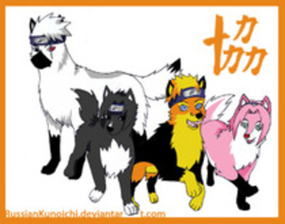 15390528_RJDQPRCIK - naruto animals