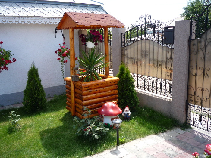fantana, o noua achizitie - flori gradina 2010