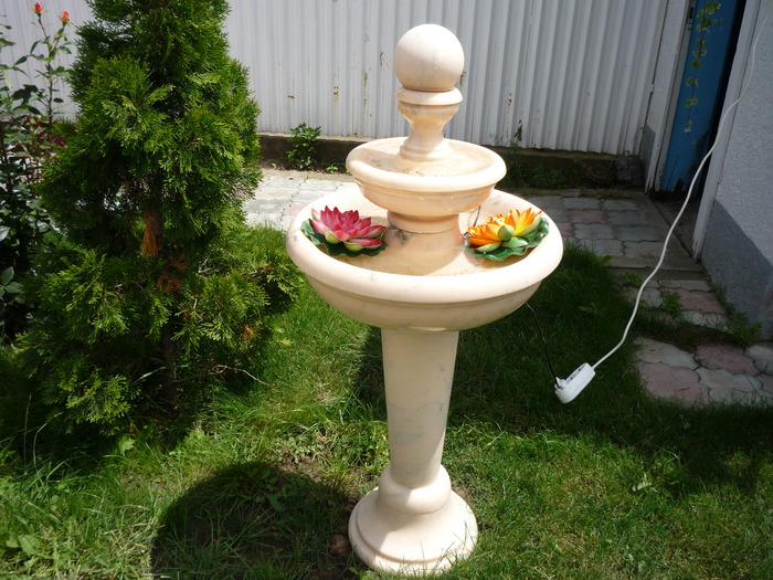 P1030696 - flori gradina 2010