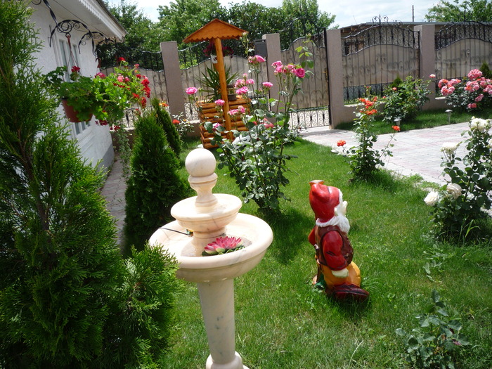 P1030697 - flori gradina 2010