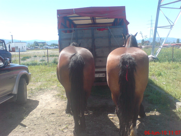 DSC02632 - preturi iunie