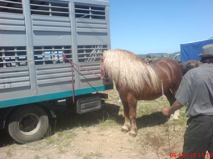 5000 e