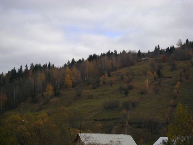 DSC07697 - VIDRARU-BICAZ