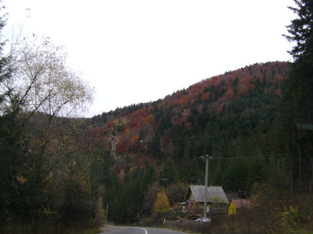 DSC07701 - VIDRARU-BICAZ