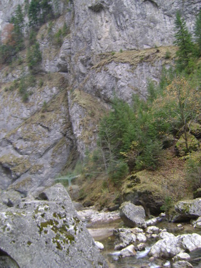 DSC07674 - VIDRARU-BICAZ