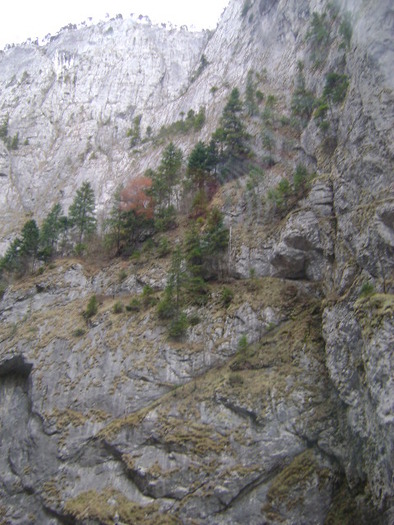 DSC07676 - VIDRARU-BICAZ